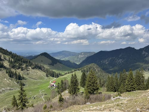 Bodenschneid