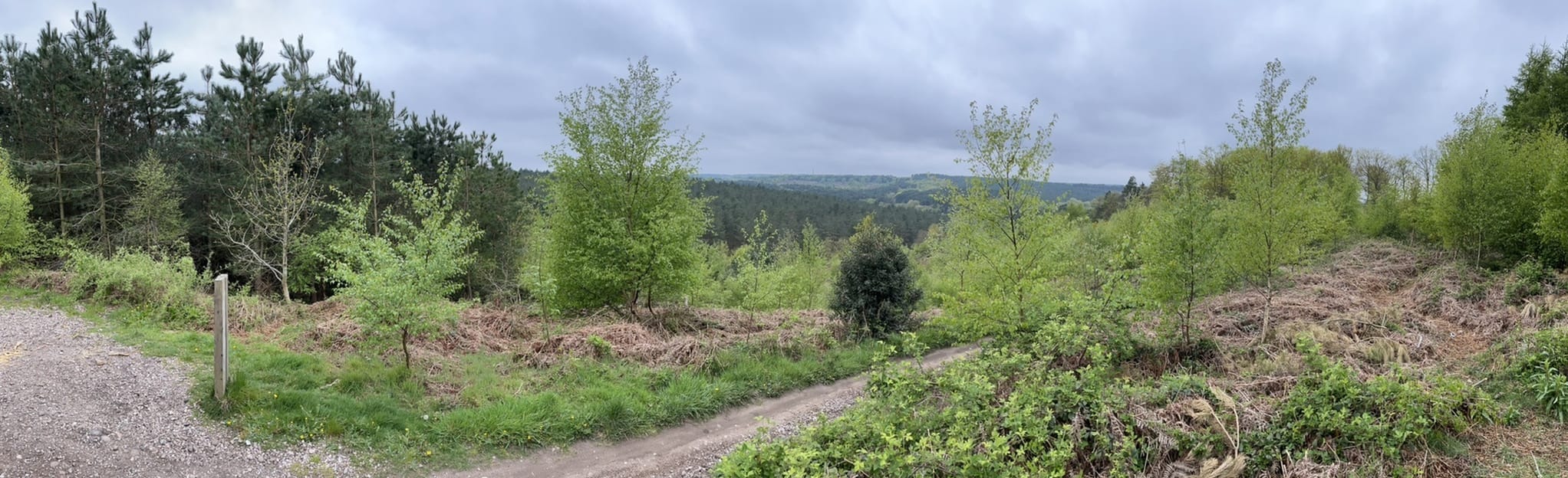 Monkey Trail , Staffordshire, England 21 Reviews, Map AllTrails