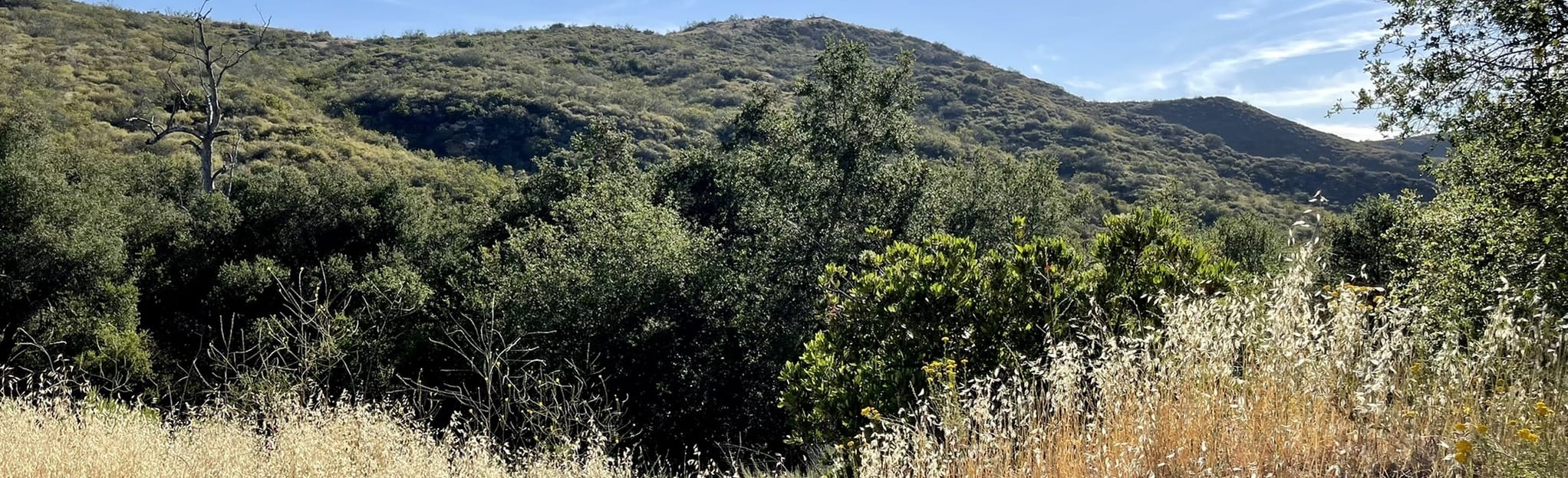 Big Bend Lizard and Fence Line - EyJidWNrZXQiOiJhc3NldHMuYWxsdHJhaWxzLmNvbSIsImtleSI6InVwbG9hZHMvcGhvdG8vaW1hZ2UvNDcyMDM3NjkvNjU4ZGJkMTg5ZTQ4MDZiNDIwYmQ2ZTgyYTk4MzE0NjEuanBnIiwiZWRpdHMiOnsidG9Gb3JtYXQiOiJqcGVnIiwicmVzaXplIjp7IndpZHRoIjoyMDQ0LCJoZWlnaHQiOjYyNCwiZml0IjoiY292ZXIifSwicm90YXRlIjpudWxsLCJqcGVnIjp7InRyZWxsaXNRdWFudGlzYXRpb24iOnRydWUsIm92ZXJzaG9vdERlcmluZ2luZyI6dHJ1ZSwib3B0aW1pc2VTY2FucyI6dHJ1ZSwicXVhbnRpc2F0aW9uVGFibGUiOjN9fX0=