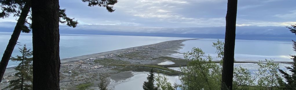 Dungeness spit outlet trail