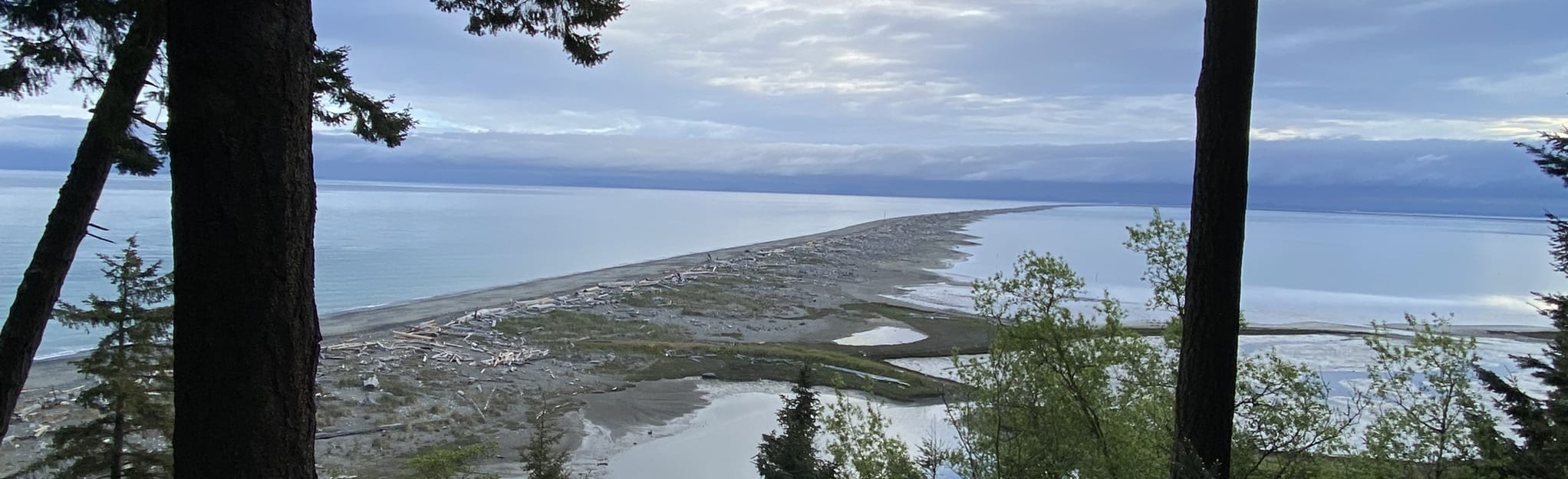 Dungeness Spit Trail, Washington - 1,461 Reviews, Map | AllTrails