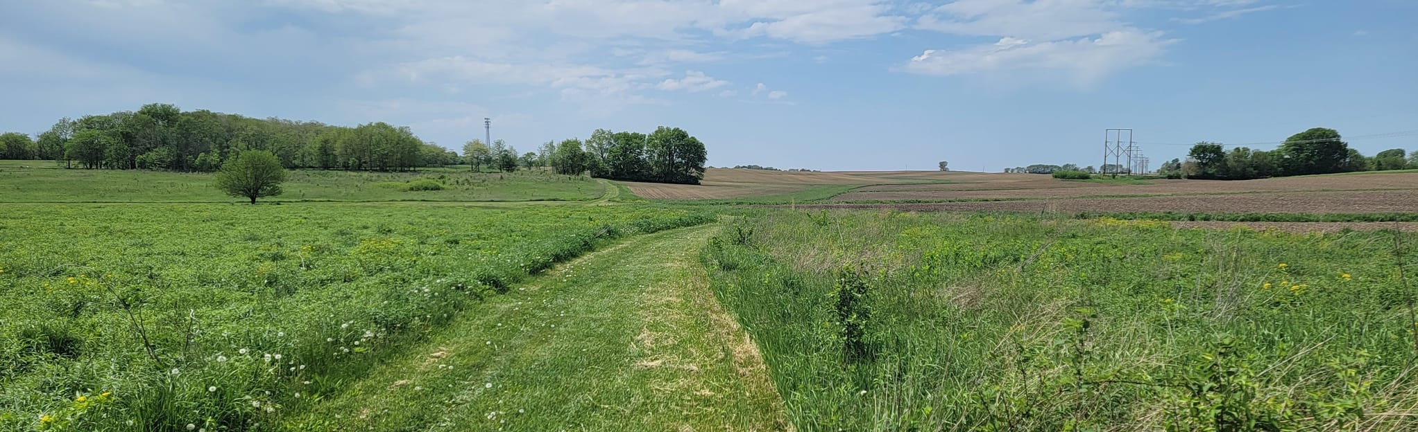 Buffalo Trace Prairie Loop Illinois AllTrails