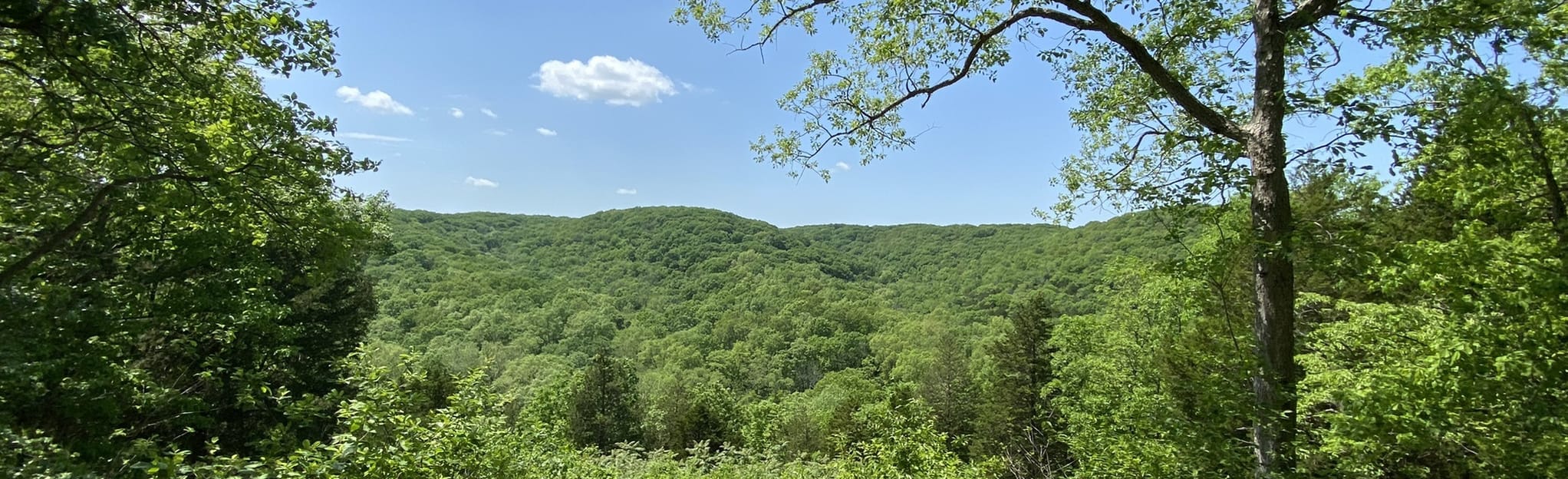 Beulah Trail 1,310 Reviews, Map Missouri AllTrails