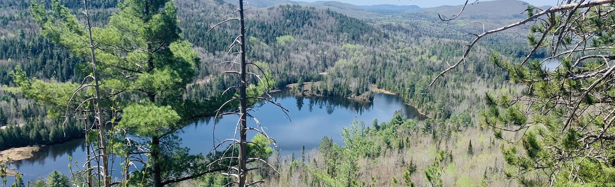 Lac en Coeur via Sentier des Contreforts - Quebec, Canada | AllTrails