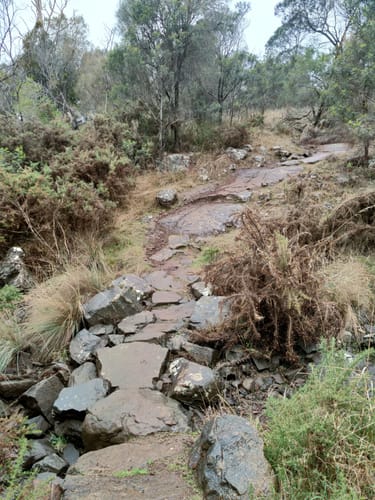 2023 Best trails in Kate Reed Nature Recreation Area | AllTrails