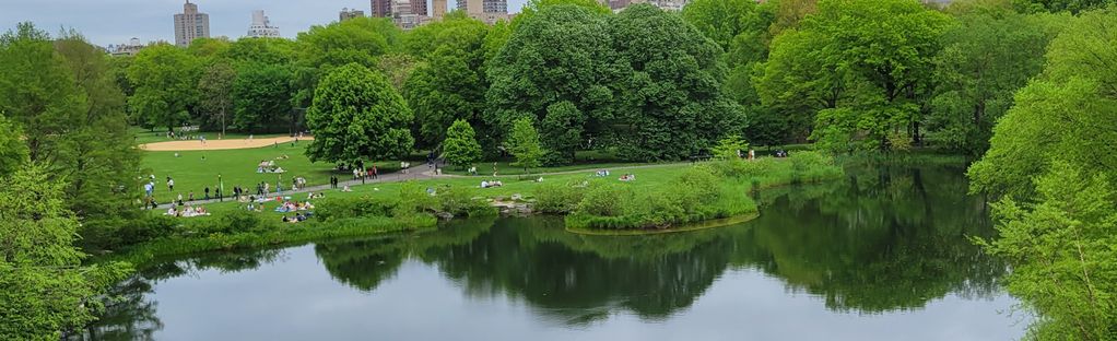 are dogs allowed in central park new york