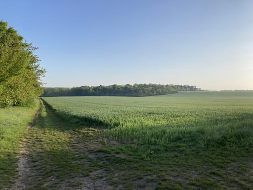 Talsperre Seebach - Burg Seebach