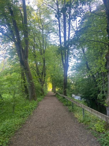 Sonderteich und Sondertal ab Kurpark Bad Wildungen
