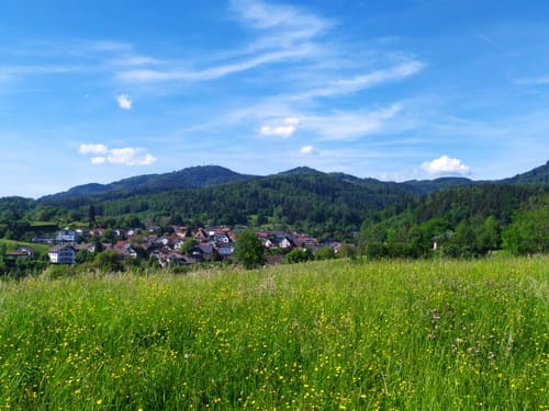 Wolftristkopf und Erdmannshöhle