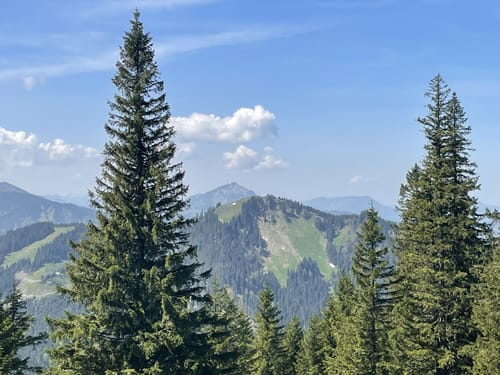 Kappeler Alp - Edelsberg - Alpspitze