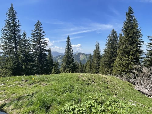 Kappeler Alp - Edelsberg - Alpspitze