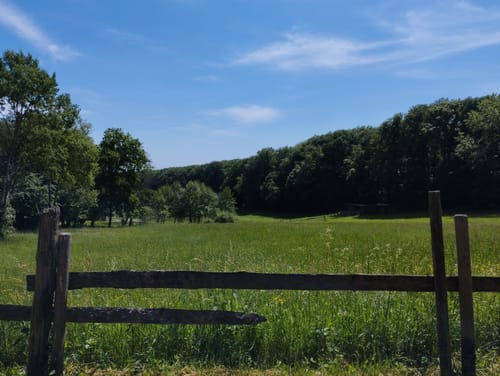 Dotzheimer Lindenblattweg