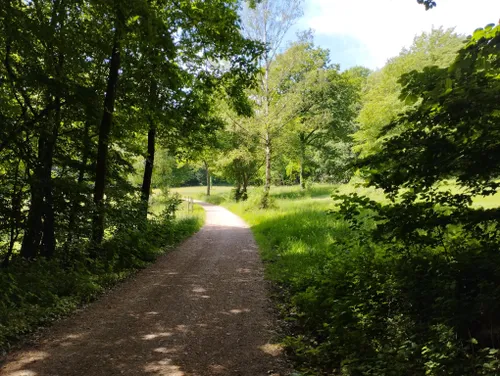 10 Best Trails and Hikes in Wiesbaden | AllTrails