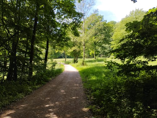 Dotzheimer Lindenblattweg