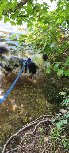 Rund um den Liblarer See