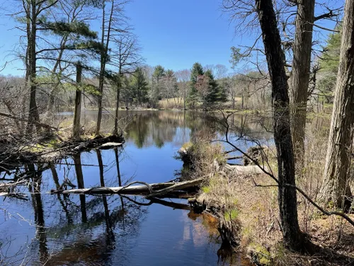 10 Best Trails and Hikes in Rhode Island | AllTrails