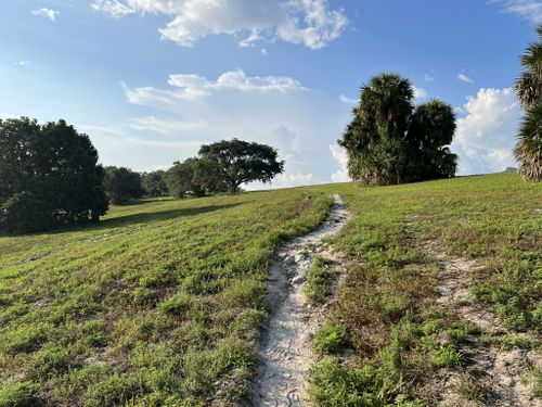 Dyer shops park mountain bike trail