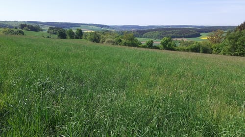 Albschäferweg Etappe 9: Neresheim  - Ballmertshofen