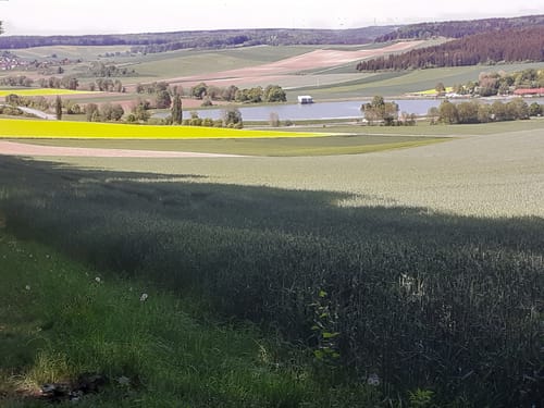 Albschäferweg Etappe 9: Neresheim  - Ballmertshofen