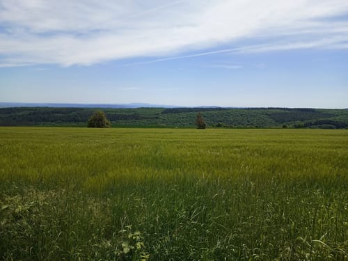 Schöner Berg Weg
