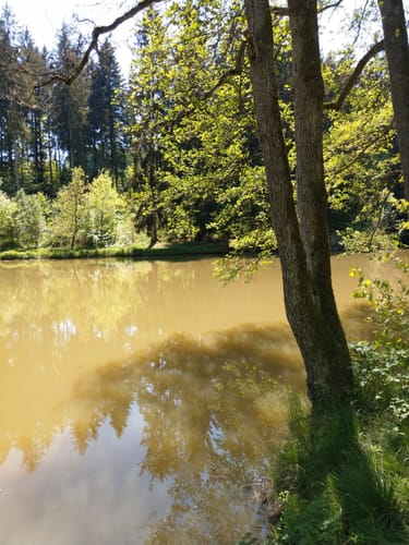 Weltwald Freising