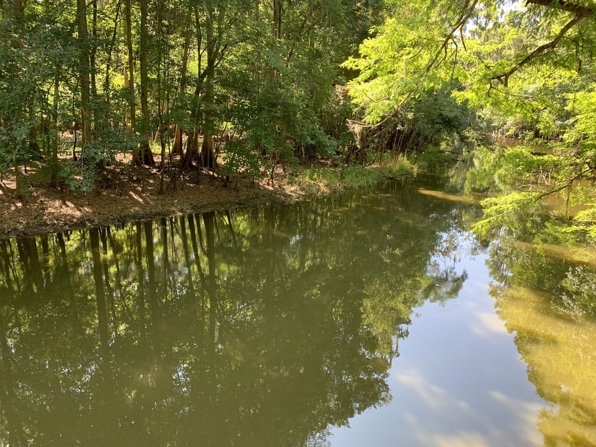 Photos of Mosaic Peace River Park, Florida trails | AllTrails