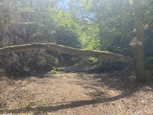 Gamensee - Märkischer Watzmann - Dannenberg/Mark