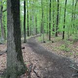 Turkey Mountain Via Yellow and Green Trail, New Jersey - 530 Reviews ...