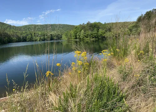 Paris mountain state park best sale mountain biking