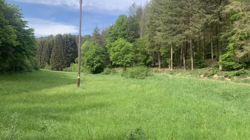 Waldrundweg in Hünstetten