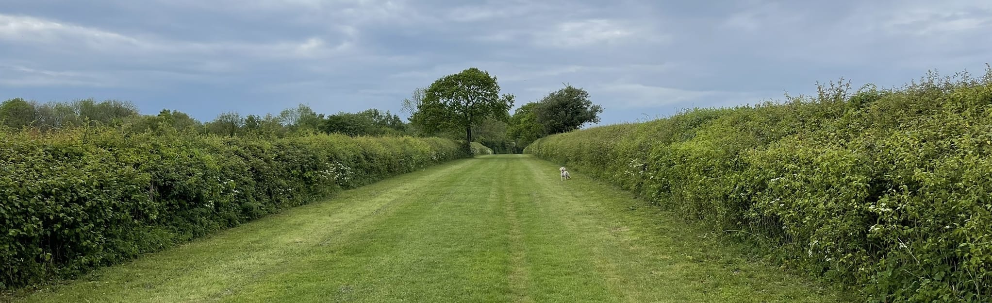 Tarrant Gunville Circular 4 Fotos Dorset, England AllTrails