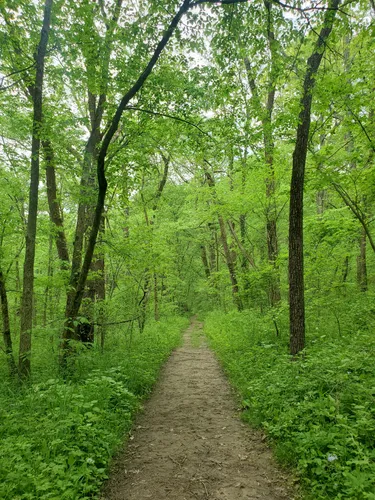 10 Best Hikes and Trails in Robert Allerton Park | AllTrails