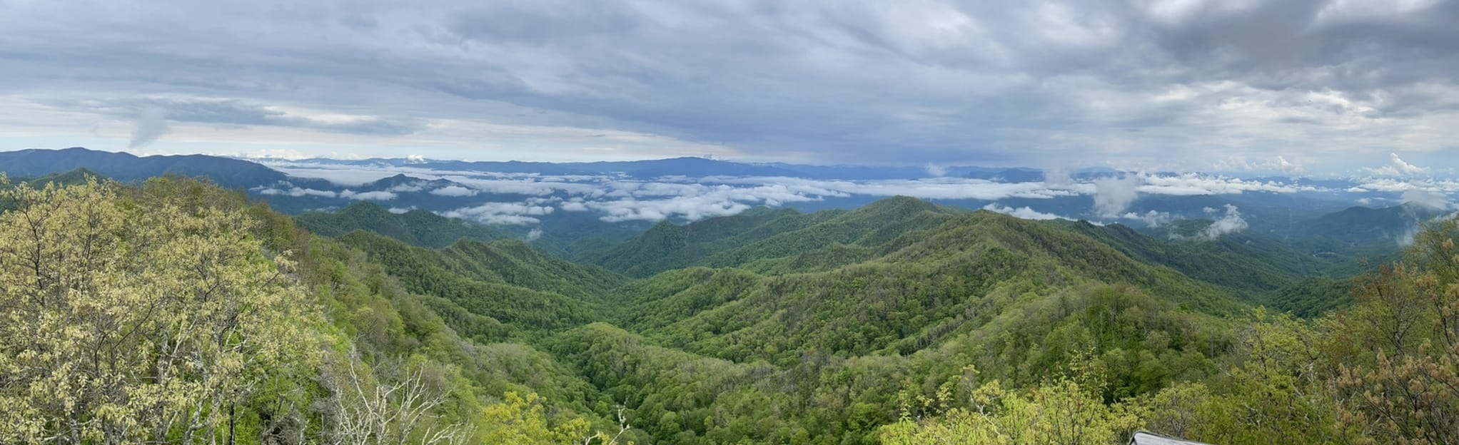 Wesser Bald Loop North Carolina AllTrails