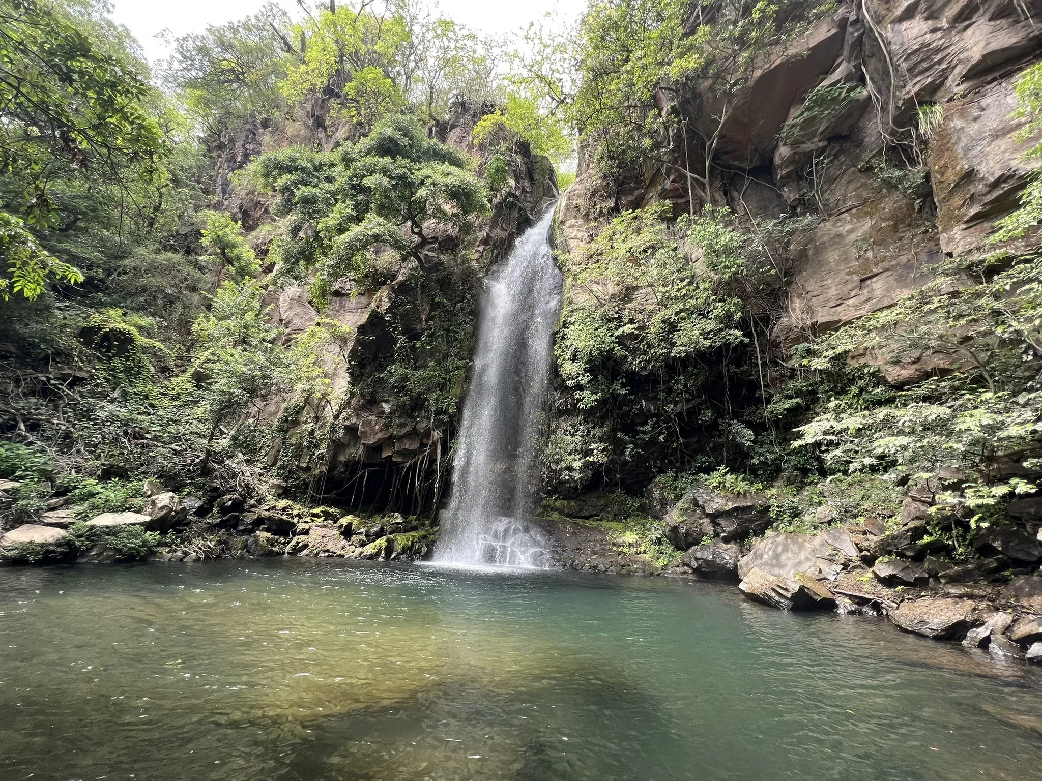 La Cangreja Waterfall Trail logo