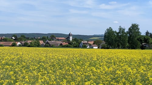Lahnwanderweg Etappe 7: Marburg - Fronhausen