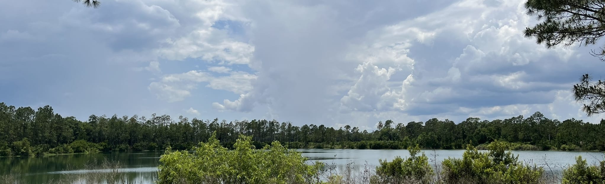 Florida Trail Lake Jesup to Cassia, Florida 13 Reviews, Map AllTrails