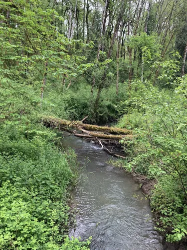 10 Best Hikes and Trails in Tryon Creek State Natural Area | AllTrails