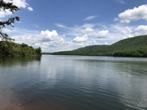 Another Perspective on Forest Trails