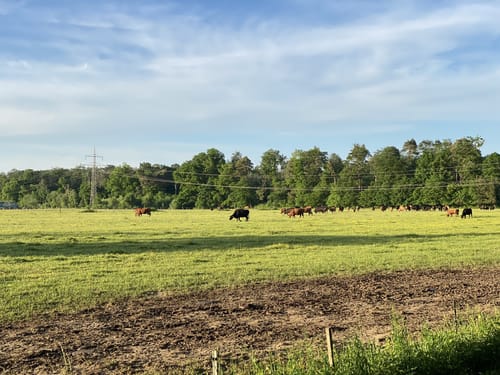 Rödermark nach DIetzenbach