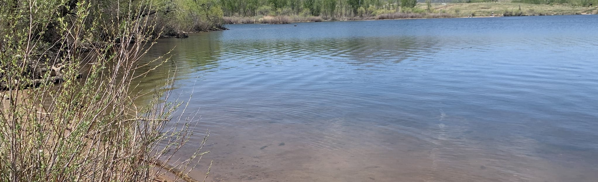 Bear Creek Lake Trail Loop 262 Reviews, Map Colorado AllTrails