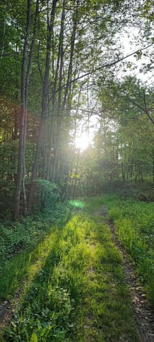 Hohe Brach Wanderung