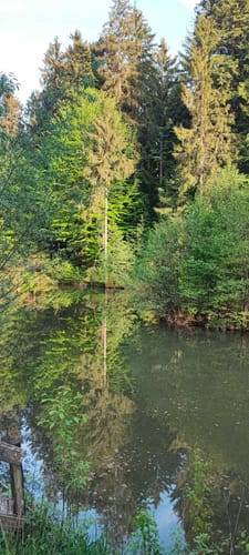 Hohe Brach Wanderung