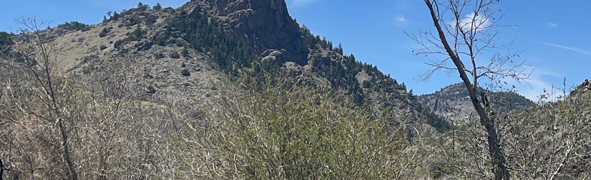 Maxwell Ranch Trail, Colorado - 29 Reviews, Map | AllTrails