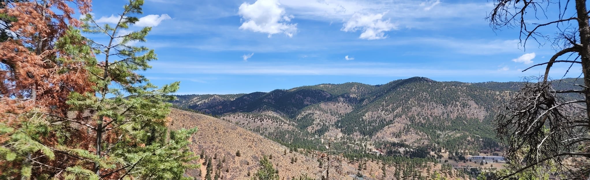 Thomas Trail Loop 904 Reviews, Map Colorado AllTrails