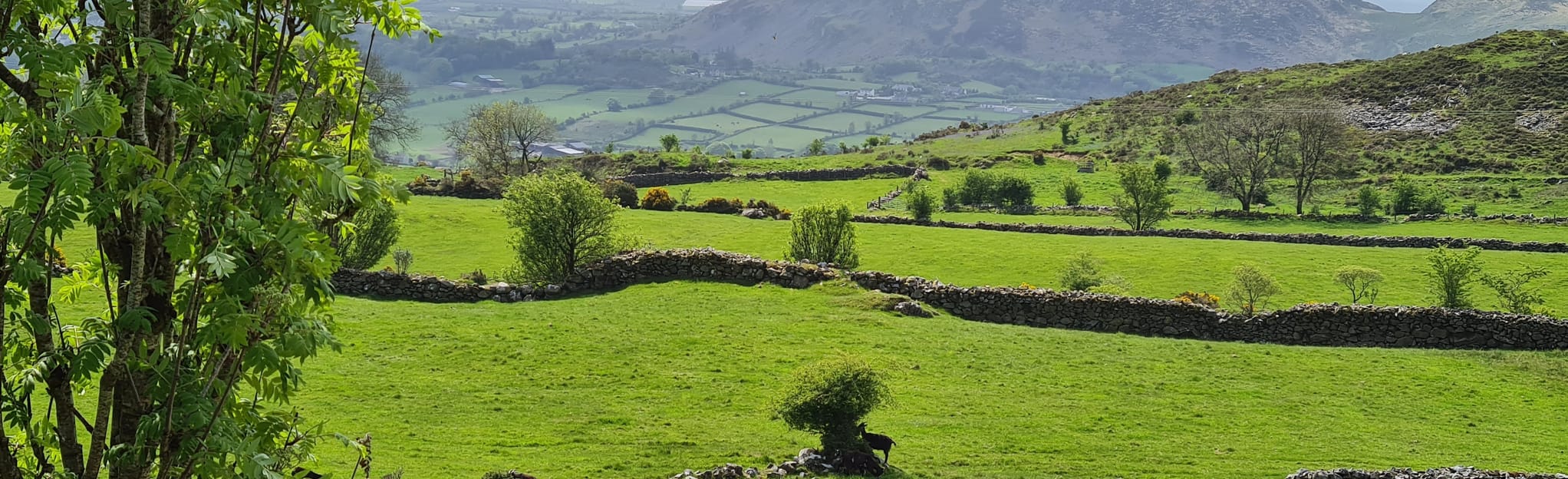 Newry and Ring of Gullion Circular Map, Guide County Louth, Ireland