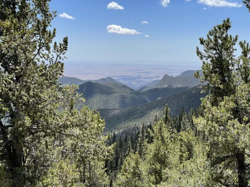 10 Best Trails And Hikes In Cripple Creek | AllTrails