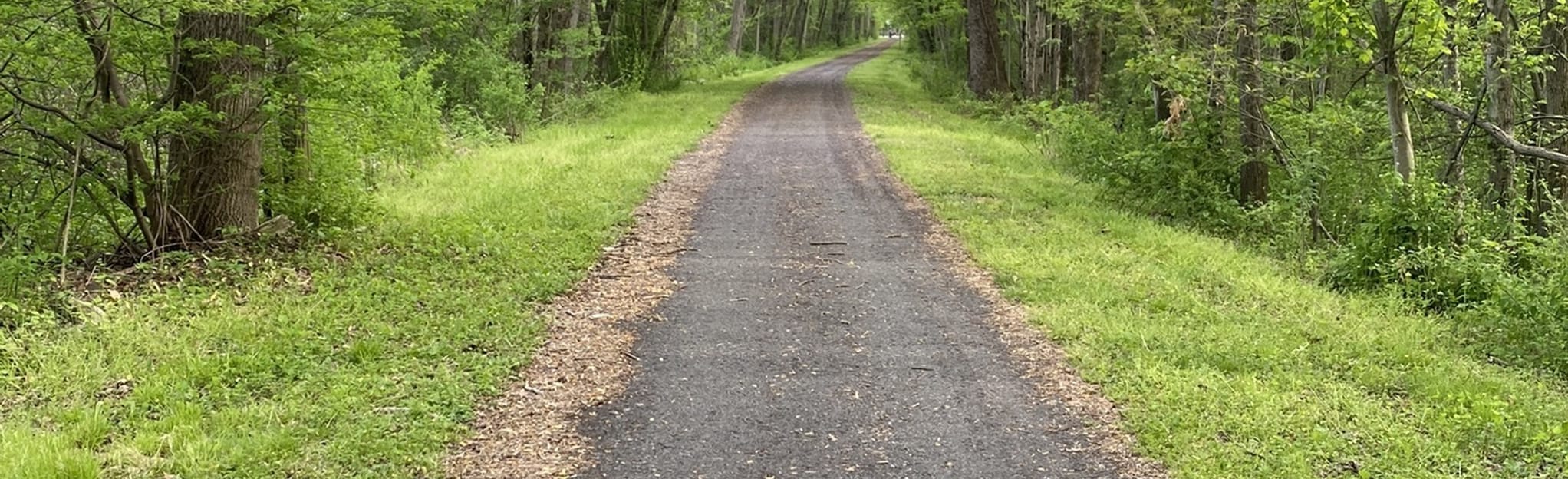 Plainfield Township Trail, Pennsylvania 286 Reviews, Map AllTrails