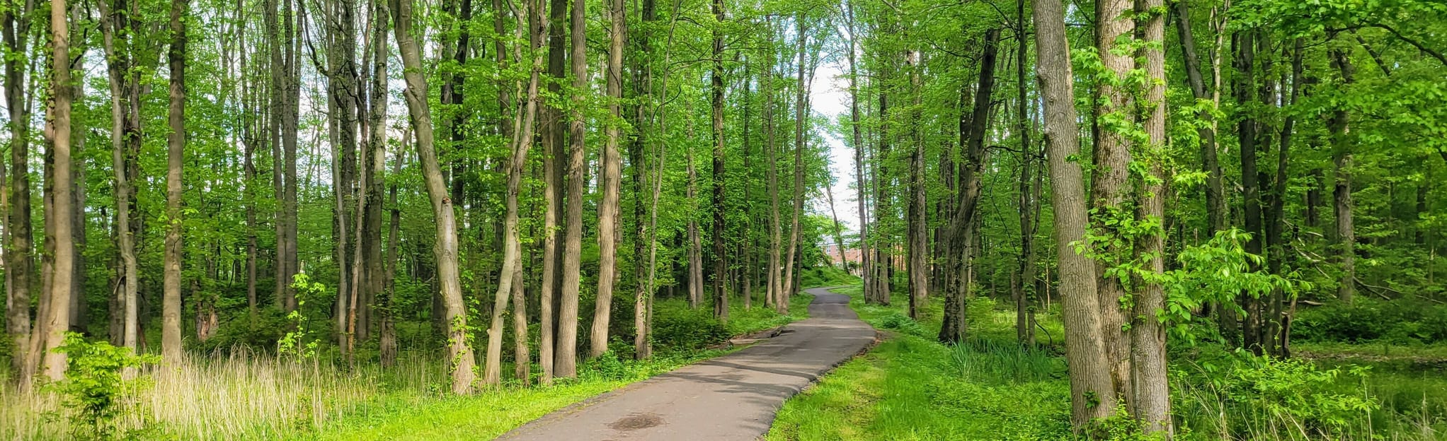 Quibbletown Park Loop 9 Reviews, Map New Jersey AllTrails