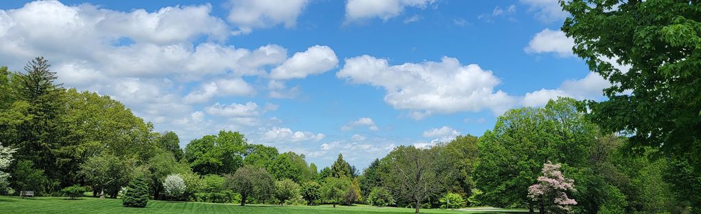 Rain Gardens, New Trees, Youth Ambassors will Help Make Jersey City  Greener, Healthier