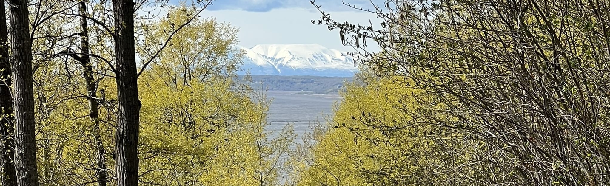 Potter Creek Interpretive Trail 157 Reviews, Map Alaska AllTrails